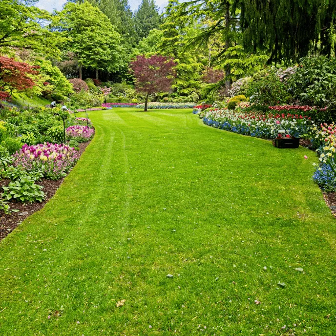 entretien de jardin Saint Martin de Queyrières